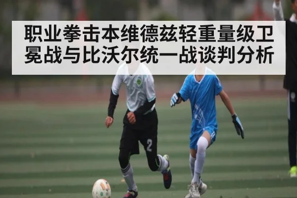 职业拳击本维德兹轻重量级卫冕战与比沃尔统一战谈判分析